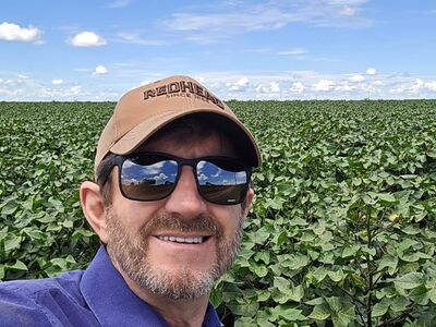 Kiko - Venda de Fazandas